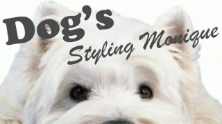 Impression Hondentrimsalon Dogs Styling Monique